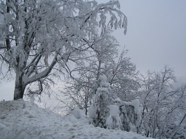 hiver (2).jpg